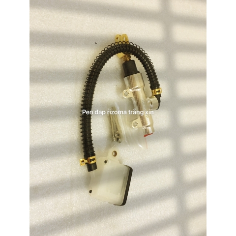 Pen đạp rizoma trắng xin